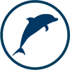 Delfin