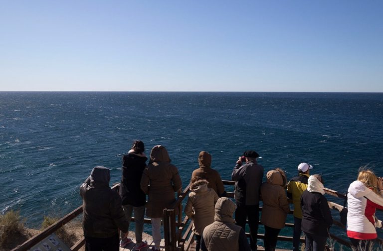 Tour to Peninsula Valdes