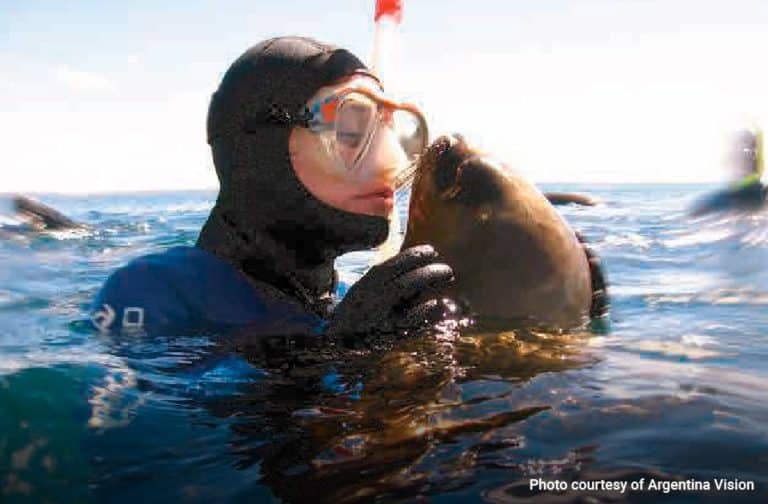 Snorkelling with Sea Lions