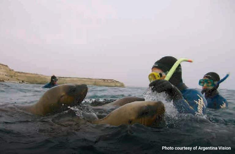 Snorkelling with Sea Lions