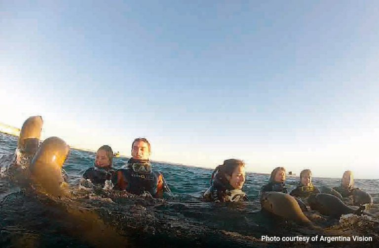 Snorkelling with Sea Lions