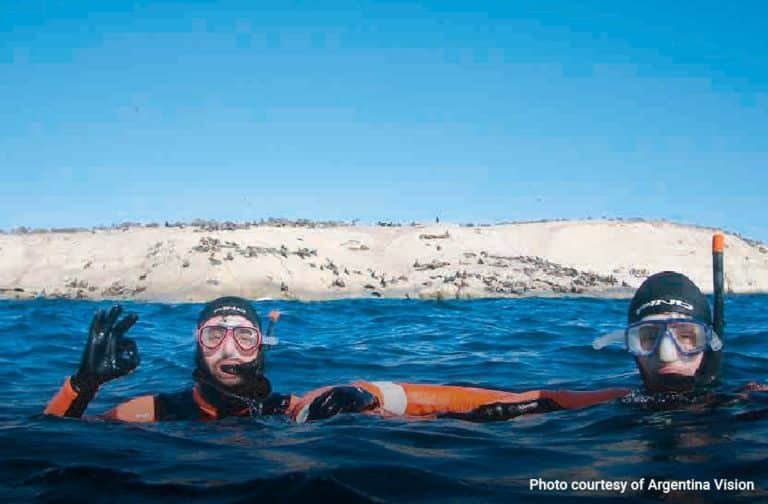 Snorkelling with Sea Lions