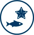 Scuba Diving Wildlife