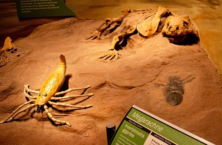 Visit to Museum