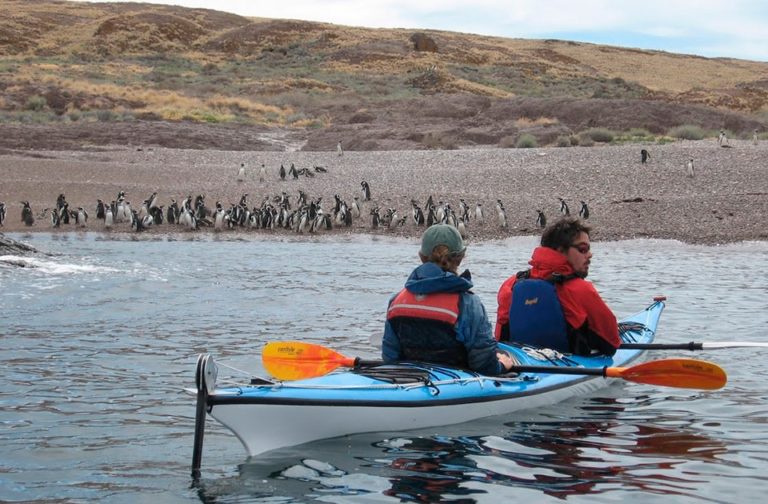 Kayak in Puerto Madryn