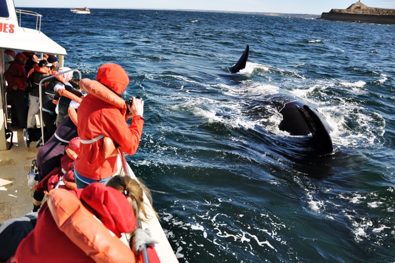 Puerto Madryn & Puerto Piramides – 4 nights