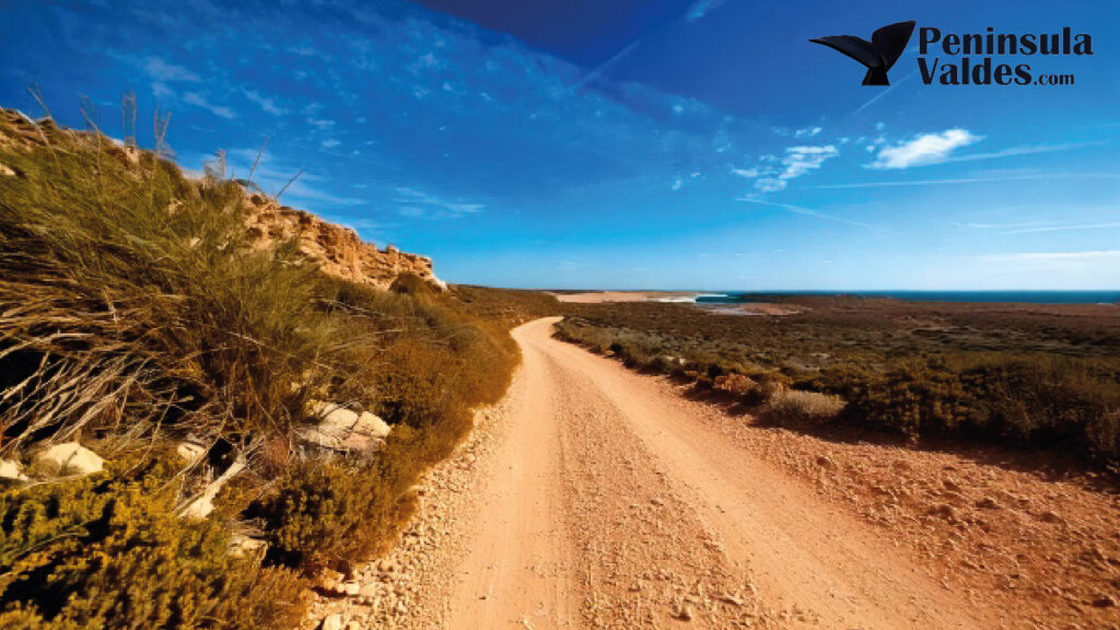 Routes of Peninsula Valdes