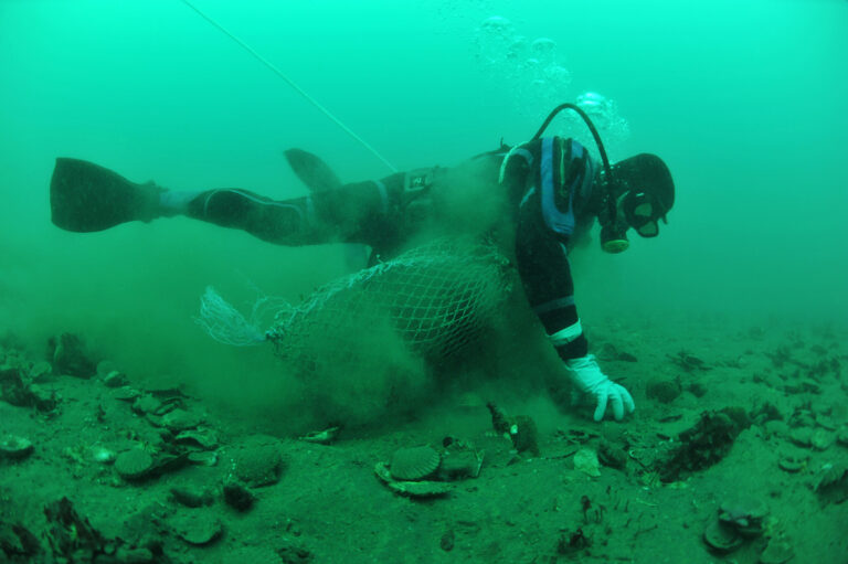Artisanal Fishery at The Gulf of San José