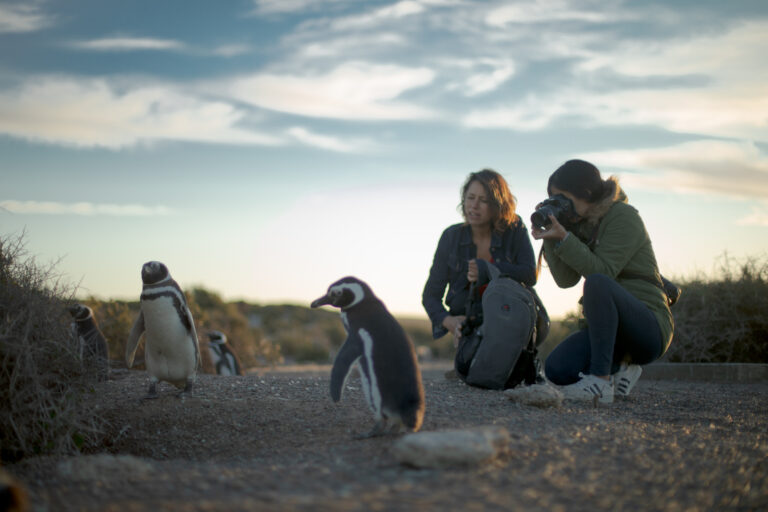 Adventure in Peninsula Valdés with Brunch