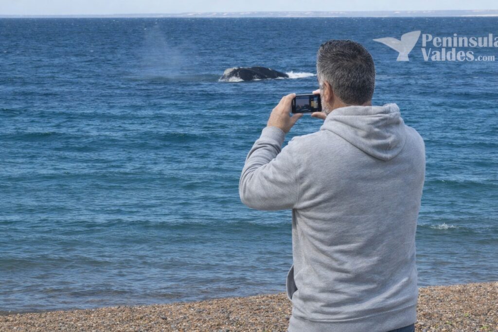 Doradillo Beach whales