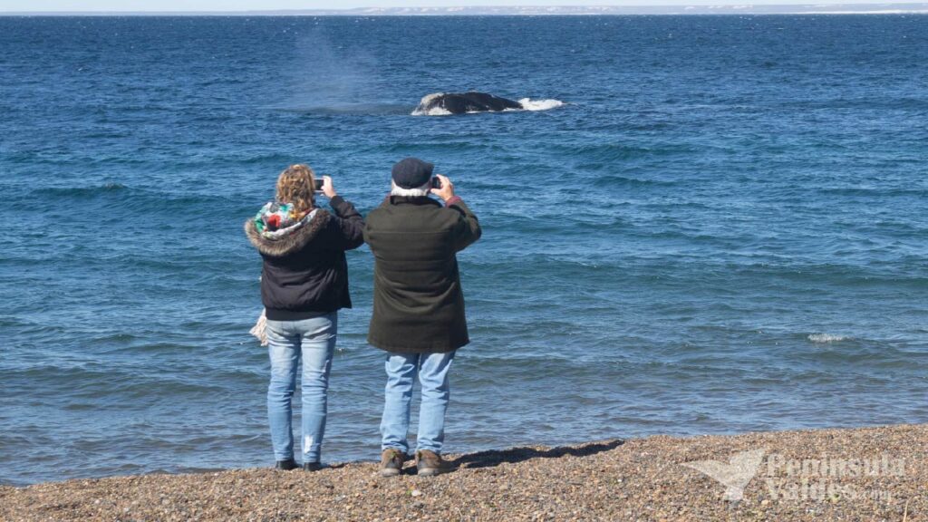 Whales at Doradillo Beach