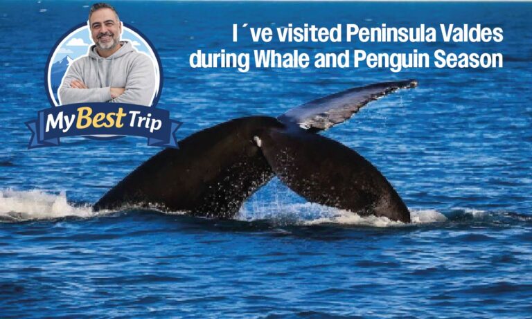 I´ve visited Peninsula Valdes during whale and penguin season