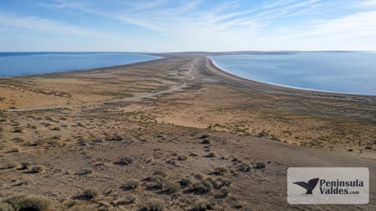 Istmo Carlos Ameghino in Peninsula Valdes