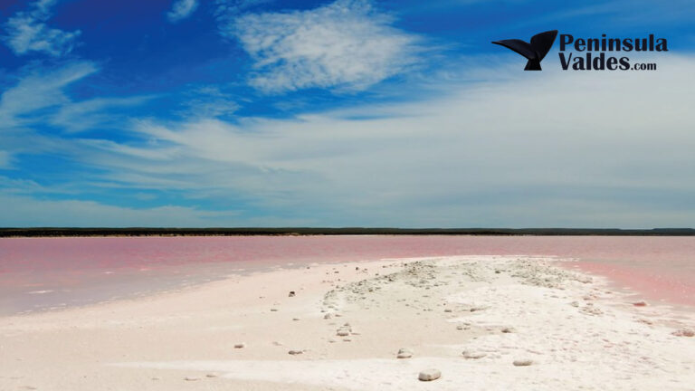 Salinas Grandes in Peninsula Valdes