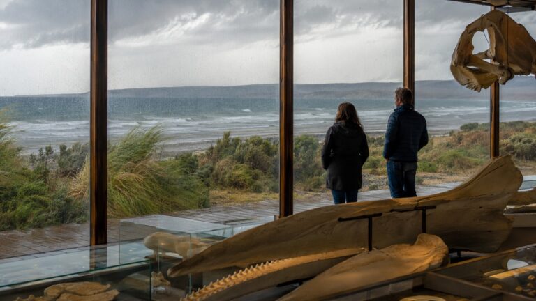 Rainy day in Puerto Madryn. What to do?